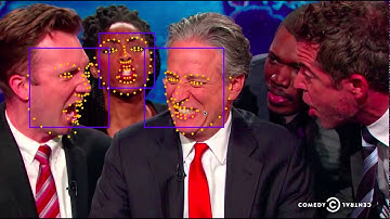 facial landmarks detection in videos