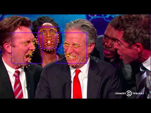 facial landmarks detection in videos