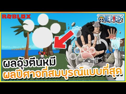 Sin Roblox Dragon Ball Z Final Stand 2 เเค ค ยก โหดได เมฆส ทองเพ อนร ก ᴴᴰ Youtube Sinroblox Dragon Ball Z Final Stand 1 ฉ นจะเป นราชาเเห งการต อส Sinroblox Dragon Ball Z Final Stand 1 ฉ นจะเป นราชาเเห งการต อส Sin Roblox Dragon Ball Z Final Stand 2 เเค ค ยก โหดได เมฆส ทองเพ อนร ก ᴴᴰ Youtube
