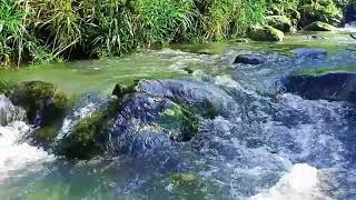 BEAUTIFUL RIVER SOUNDS AND LISTEN TO THIS NATURAL MELODY YOU WILL FEEL BETTER