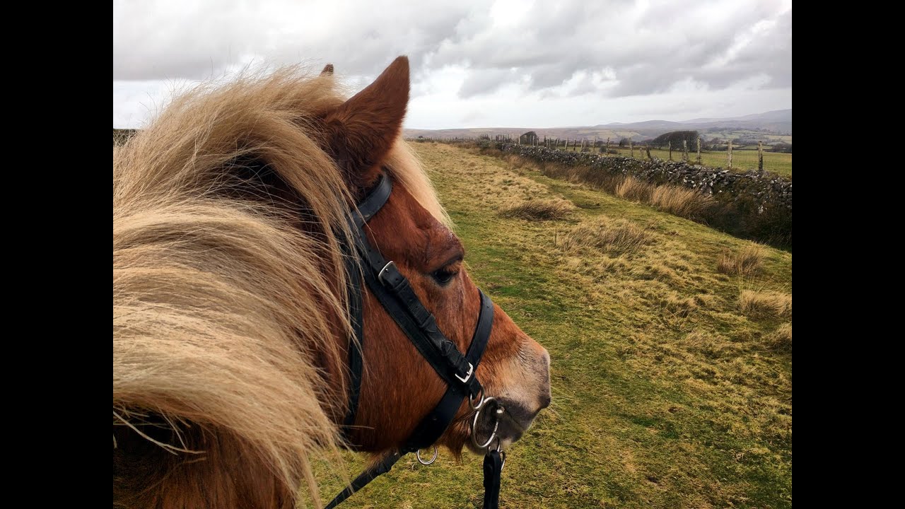 A hack with Rocky over Dartmoor YouTube