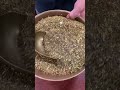 Vidéo: Rooibos PÊCHE BIO
