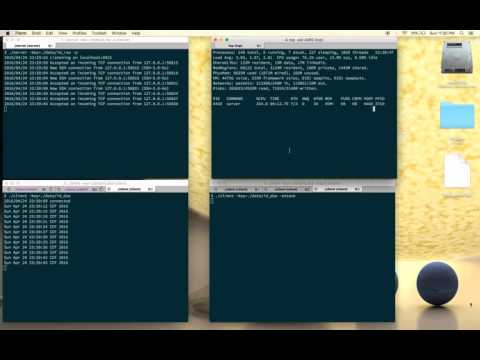Go SSH server attacked with DSA vuln.