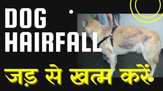 Dog ke Baal Jhadne se kaise roke     Ramawat Dog care