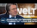 MEINUNG: „Skandalös!“ CDU übernimmt linke "Correctiv"-Lüge zur AfD! | Gunnar Schupelius