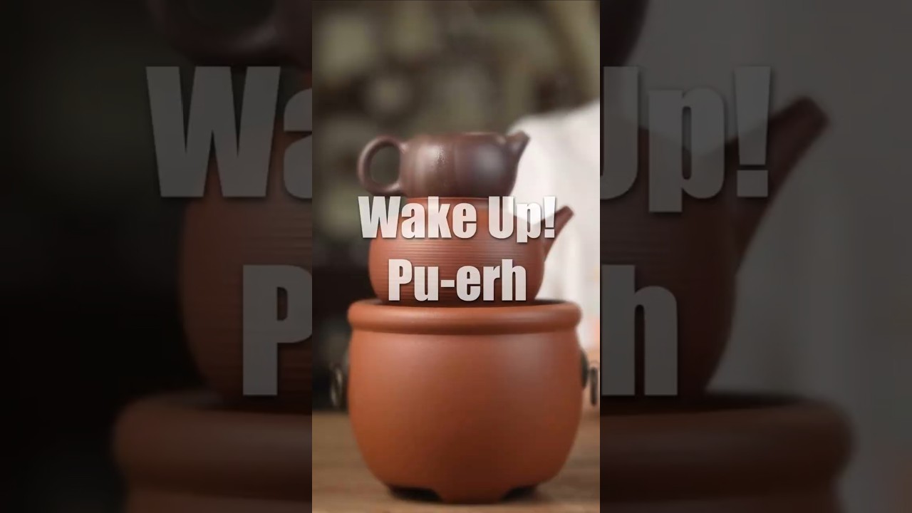 Ever tried steam-awakening your aged Pu-erh tea?steam awakening puerh tea