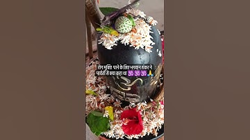 भगवान शंकर ने माता पार्वती से कलयुग में रोग मुक्ति के उपाय शिवपुराण उपाय टोटके पंडित प्रदीप मिश्राजी