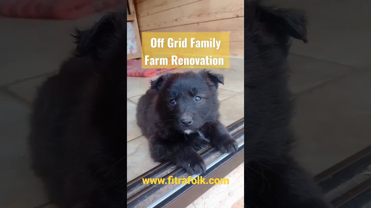 1 Year Off Grid Renovation Family Farm 
