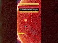 real size of universe #viralreels #trending #science #space #knowledge #sun #foryou #mystery #earth