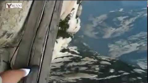 continue despite news flow from the corporate sector that would indicate