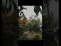#minivlog #trendingshorts #viralshorts