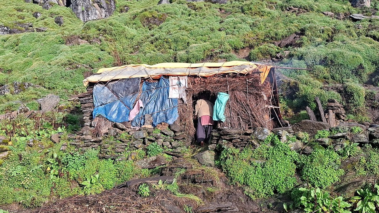 This is Nepali Himalayan Village During the Heavy Rainy Season | shepherd himalayan life