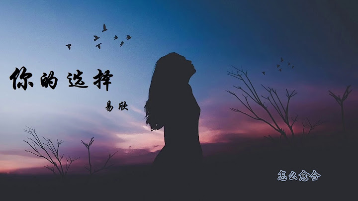 易欣 - 你的选择（你的选择 没有错 我欠你的太多）动态歌词