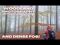 Fantastic Conditions for Woodland Photography OM-1 MKII