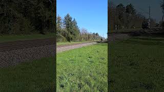 Br 185 als LZ #trainspotting #train #railway