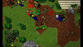 Tibia.wmv