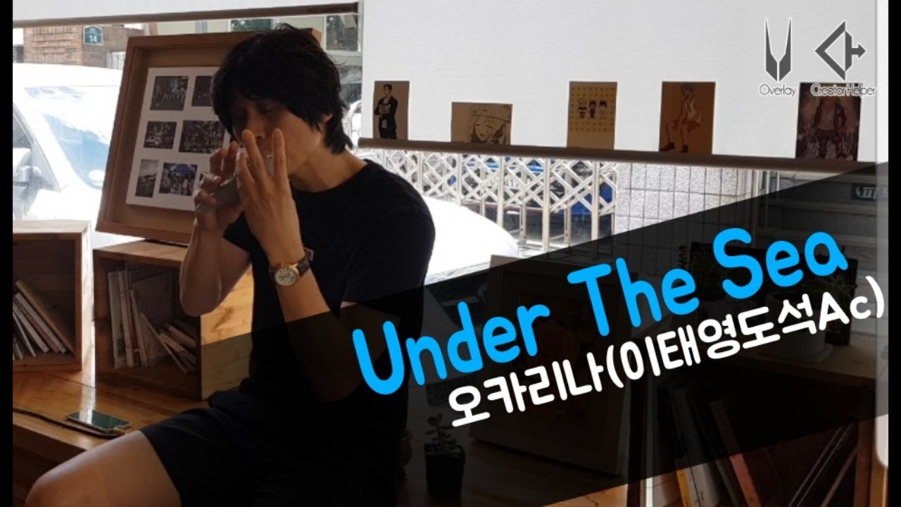 [오카리나] 인어공주OST Under the sea(언더더씨) 하지훈 ocarina cover jihun YouTube