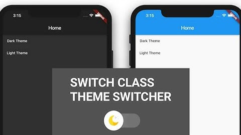 Flutter : Switch Class  | Dynamic Theming Tutorial (Dark & Light Theme) | Hindi
