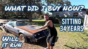 What Did I Buy? Will It Run? Parked & Forgotten 1979 Pontiac Trans Am