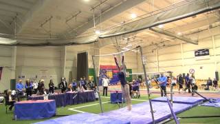 Rose Hoffman, Universal JRD Bars 2015 R5Champs