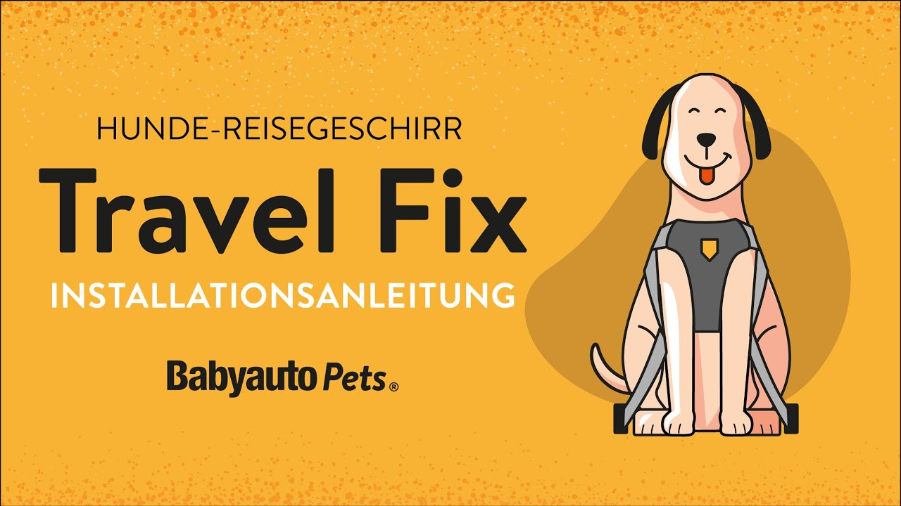 LEGEN SIE Ihrem HUND für eine SICHERE FAHRT das ISOFIX-GESCHIRR an | Babyauto Pets®