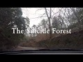 Aokigahara (The Suicide Forest)