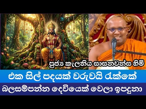 එක සිල් පදයක් වරුවයි රැක්කේ බලසම්පන්න දෙවියෙක් වෙලා ඉපදුනා |ven kalaniye sasanawansa thero 