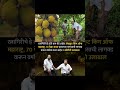 #2574 #agriculture #agriculturelife #AgriBusiness #economy #kokan