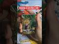 nouvelle vidéo unboxing #dragonball #dbs #dokkanbattle #shorts #cards #goku #vegeta #broly #gohan