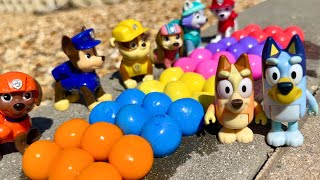 Paintballs  Bluey toys Pretend play with the Paw Patrol