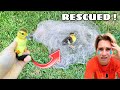 RESCUED ! BABY DUCK FOUND TANGLED In CAST NET ! WHAT NOW ?!