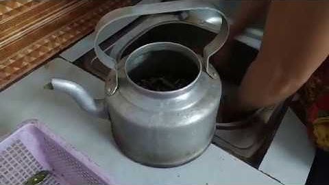 Hướng dẫn sử dụng cây An Xoa hiệu quả 0963 312 158