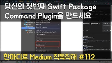 당신의 첫번째 Swift Package Command Plugin을 만드세요 - 한마디로 Medium 직독직해 #112