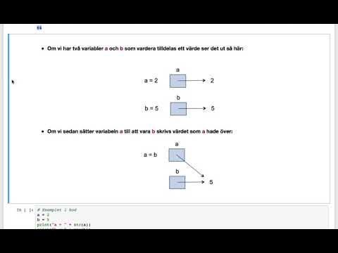 Video: Hur lagras variabler?