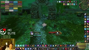 World First HC Swift Zulian Tiger Mount!