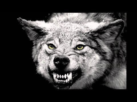 اقوى اغنية اجنبية دي جي الذئب | اقوى دي جي بالعالم