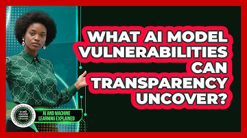 What AI Model Vulnerabilities Can Transparency Uncover? - AI and Machine Learning Explained