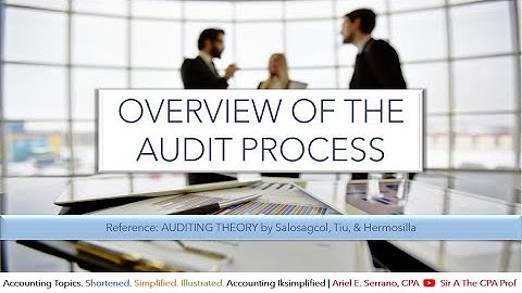 Overview of the Audit Process | Hermosilla, Tiu, Salosagcol