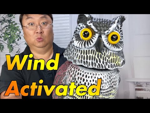 This Fake Owl Scares Away Birds With A Swiveling Head