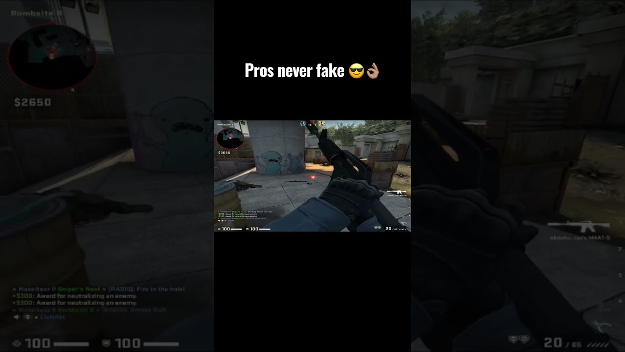 CSGO Pros Never Fake 