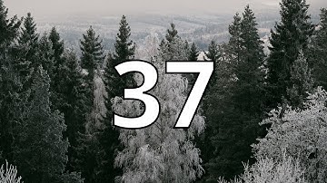 37 Second Countdown Timer With Alarm Sound At the End (Simple Beep)