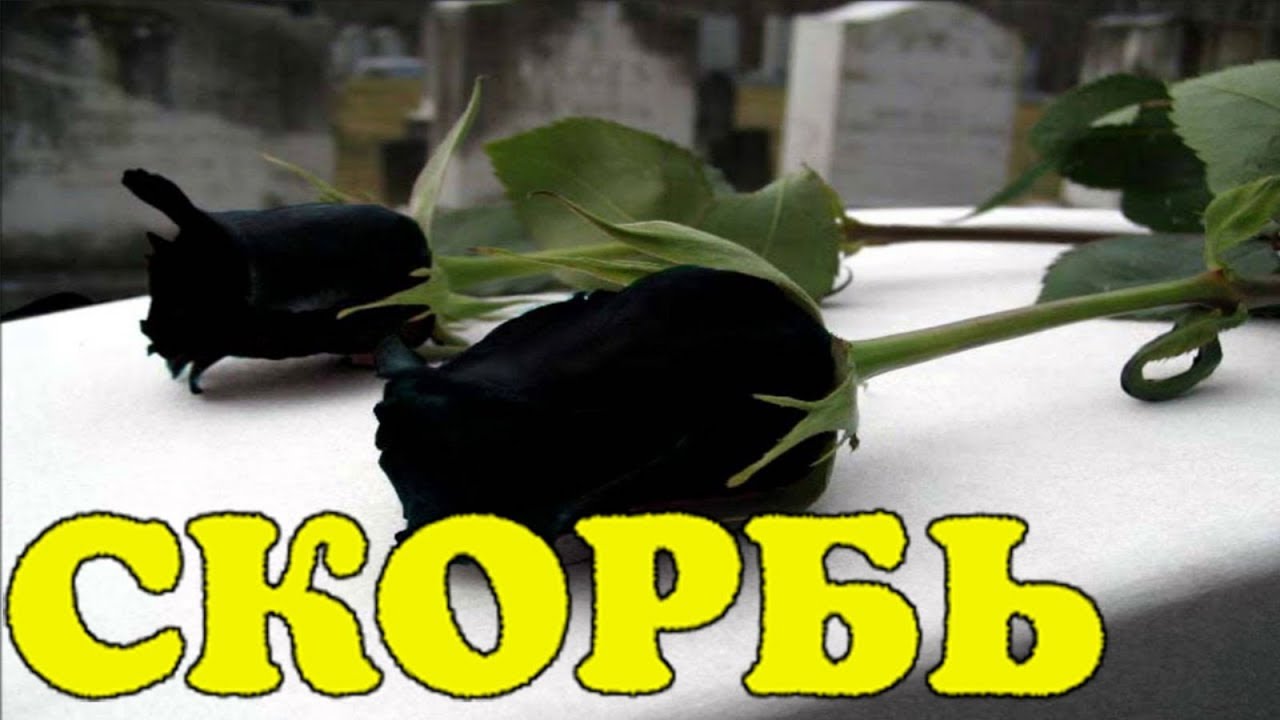 Пролежал в квартире несколько дней: скончался известный российский музыкант!