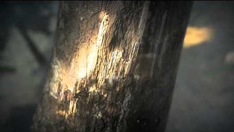 Dungeon Siege III : Launch Trailer