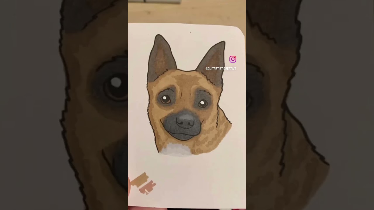 🐾 Custom Pet Sticker Process!