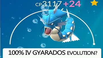 100% IV magikarp evolution and power up to the maxed before generation 2 comes