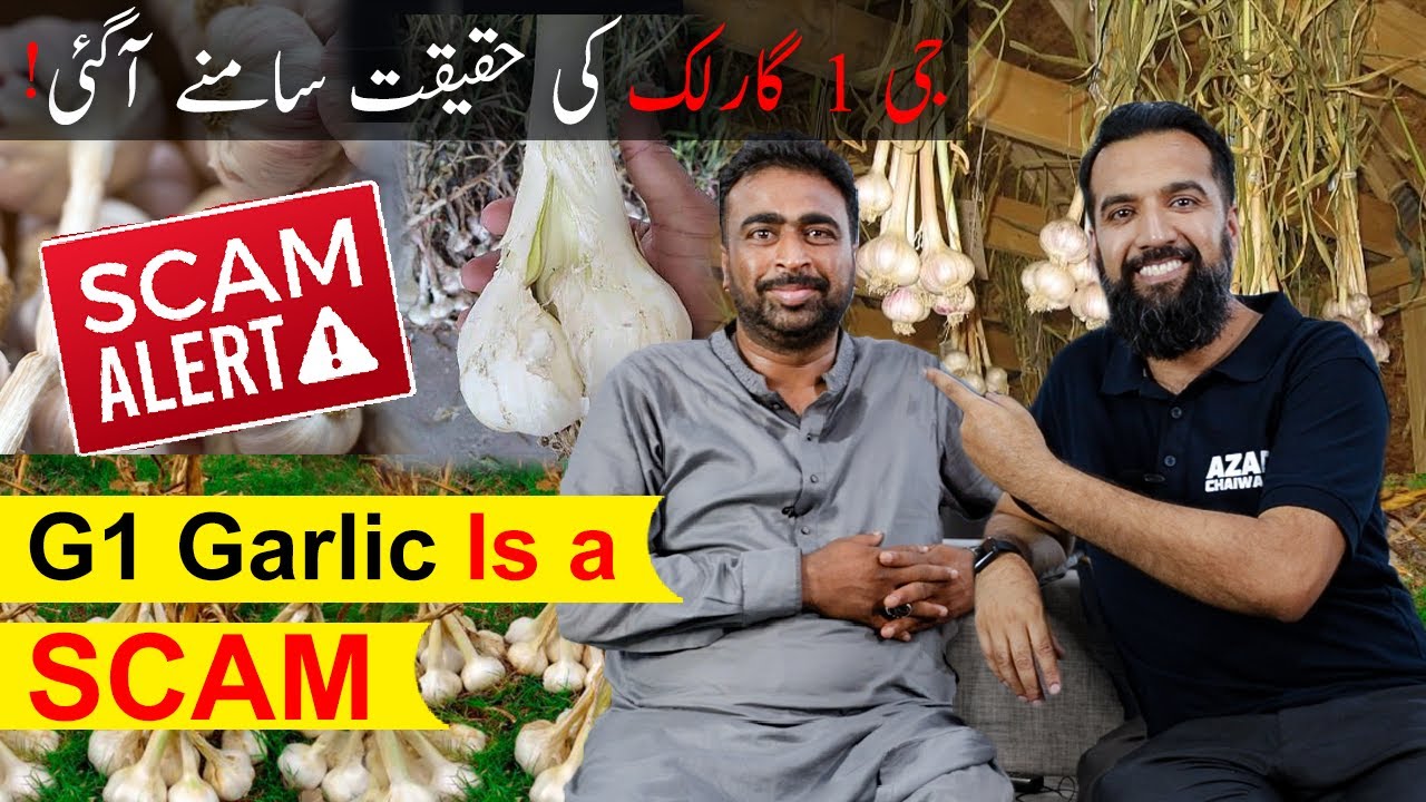 NARC G1 Garlic SCAM (Exposed) (BUSINESS IDEA)