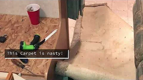 RV Reno for newbies Carpet Removal