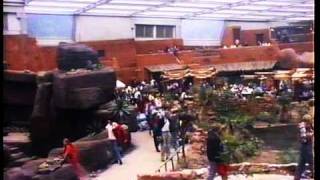 Burgers Zoo 1994.Wmv