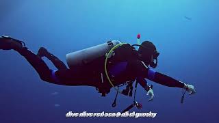 dive alive Red Sea @ ali el guoshy