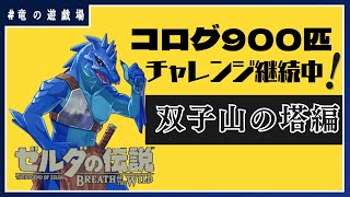 #15【ゼルダの伝説・breath of wild】コログ900匹チャレンジ継続中！　双子山の塔エリア編【竜の遊技場】